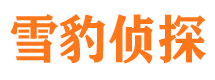 青岛市婚姻调查